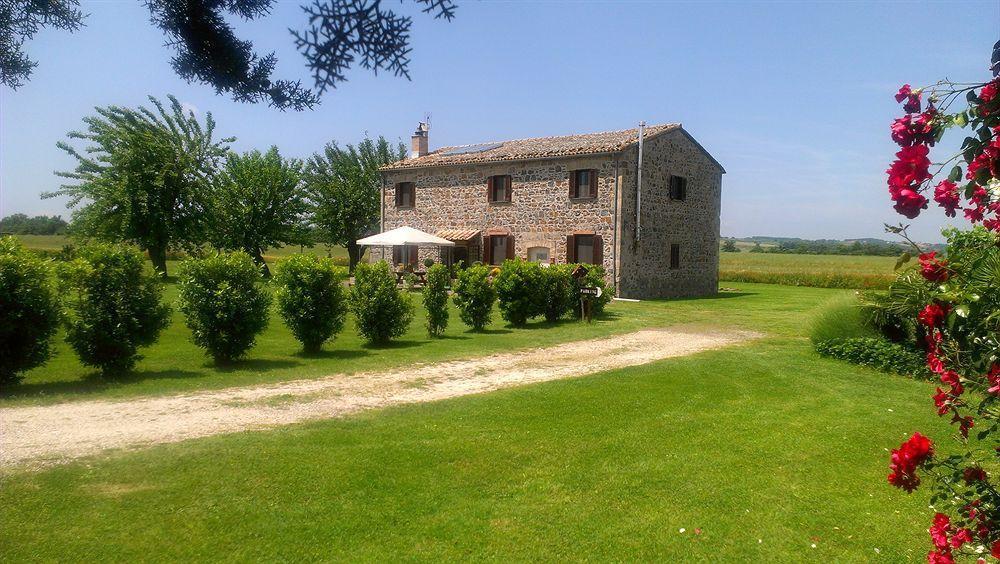 לינה וארוחת בוקר Castiglione In Teverina Casale Dei Gelsi מראה חיצוני תמונה